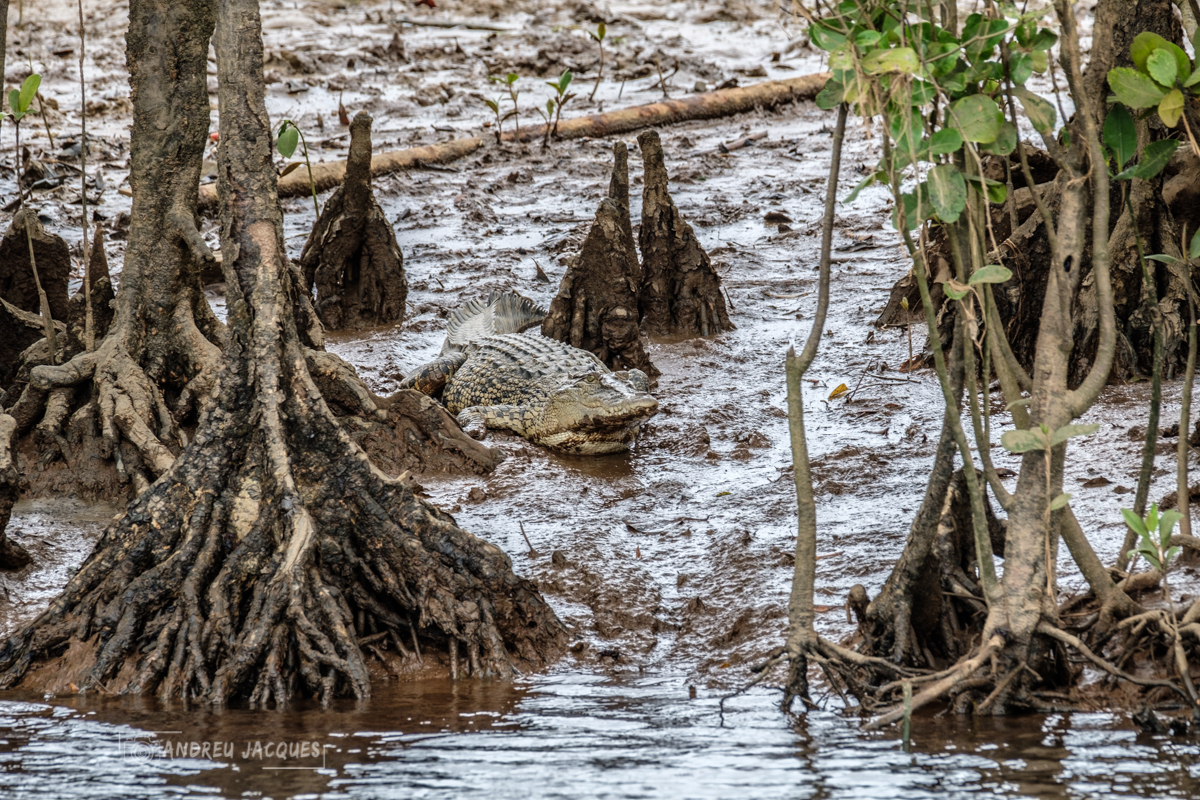 australie 2018-74.jpg